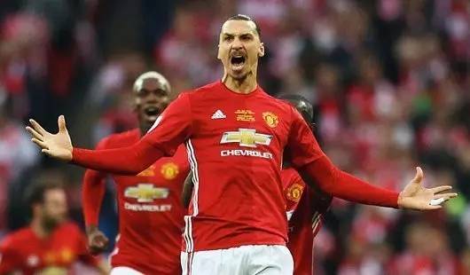 森林狼随即 森林狼随即